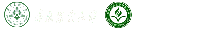 sbobet·利记